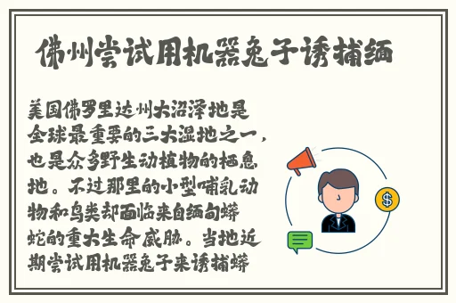 FreeⅩ牲护士Vidos中国