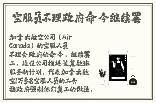 日韩精品无码一区二区视频
